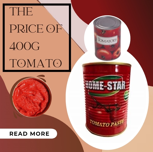 current market prices of tin tomatoes in Nigeria