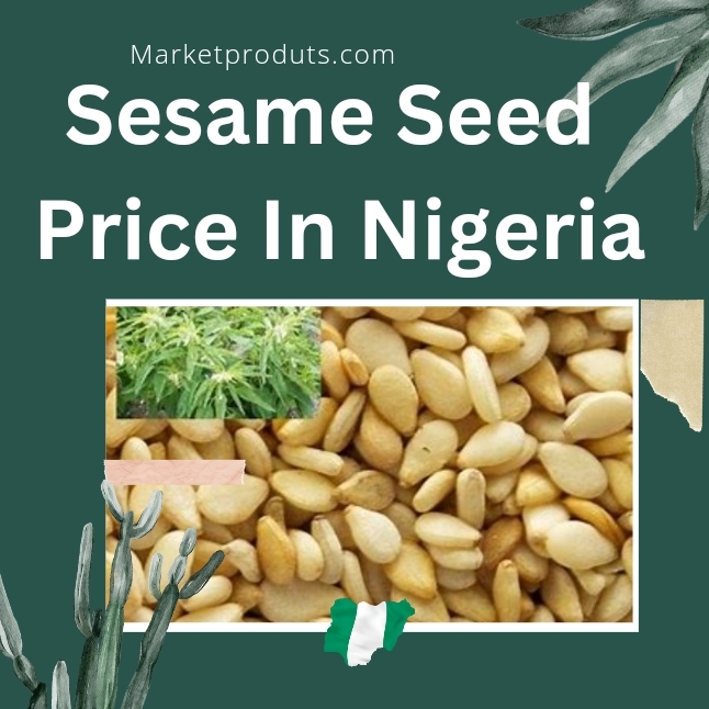 Sesame Seed Price In Nigeria